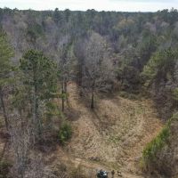 800 Acres Wilkinson County Hunting Land For Sale SW MS images 5