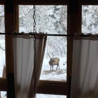 HWY 12 Cabin near Monument Lake images 3
