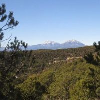 116 Ponderosa Hills images 2