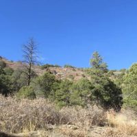 116 Ponderosa Hills images 4