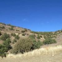 116 Ponderosa Hills images 5