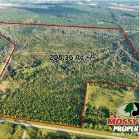 208 - Ac Orphan Cemetery Rd Tract Eastman GA