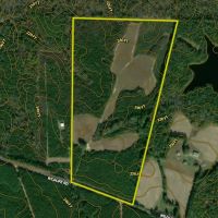 Versatile Acreage With Road Frontage Open Land And Timber images 2
