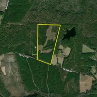 Versatile Acreage With Road Frontage Open Land And Timber images 3