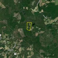 Versatile Acreage With Road Frontage Open Land And Timber images 4