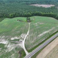 Versatile Acreage With Road Frontage Open Land And Timber images 5