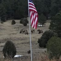 59.9 acres at LDS images 5
