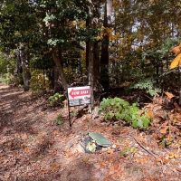 4.913 Acres of Residential Recreational Land For Sale in Caroline County VA images 2