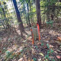 4.913 Acres of Residential Recreational Land For Sale in Caroline County VA images 5