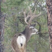 H10 Santa Fe Trail Ranch