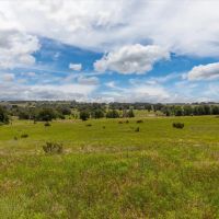 Trophy Whitetail and Cattle Ranch Outside Evant Texas images 4