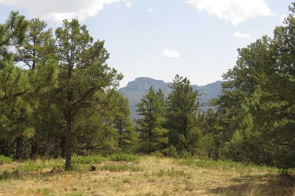 B50 Santa Fe Trail Ranch featured image