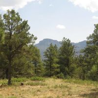 B50 Santa Fe Trail Ranch