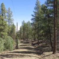 B50 Santa Fe Trail Ranch images 3