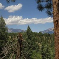 102 ac San Pablo Canyon Ranch Cimarron Ranch images 3