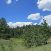 102 ac San Pablo Canyon Ranch Cimarron Ranch images 5