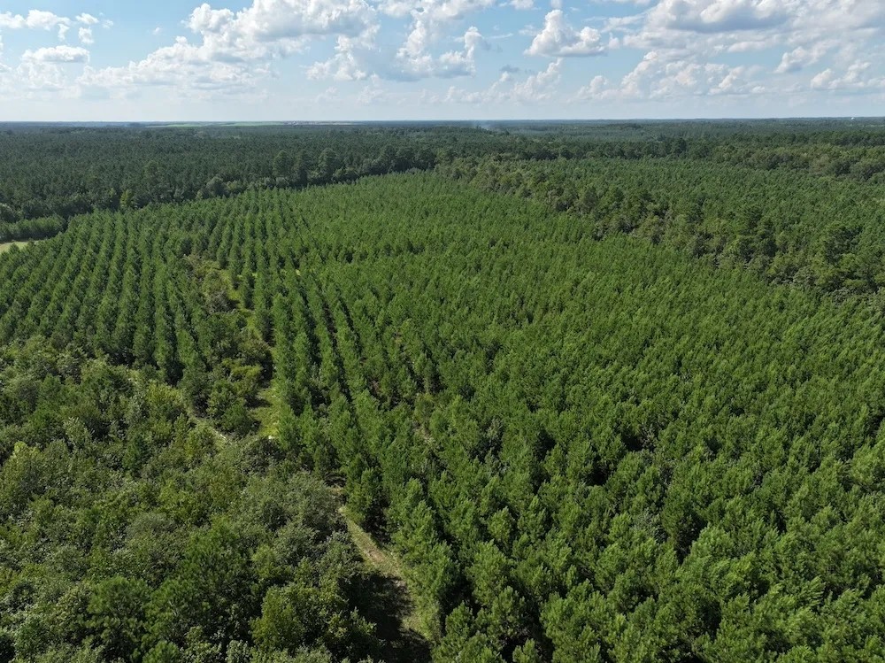 Prime Property Minutes From New Bern featured image