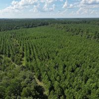 Prime Property Minutes From New Bern