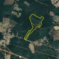 Prime Property Minutes From New Bern images 3