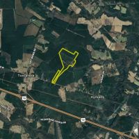 Prime Property Minutes From New Bern images 4