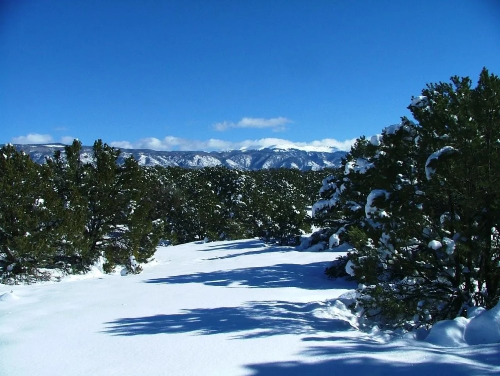 7 Milligan Ranch featured image