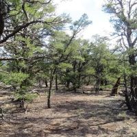 7 Milligan Ranch images 3
