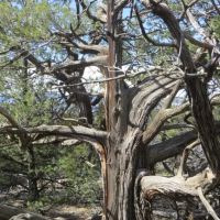 7 Milligan Ranch images 5