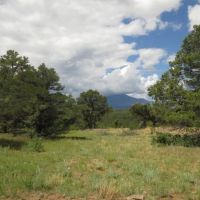 137 Blackhawk Ranch images 3