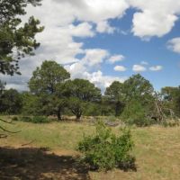 137 Blackhawk Ranch images 5