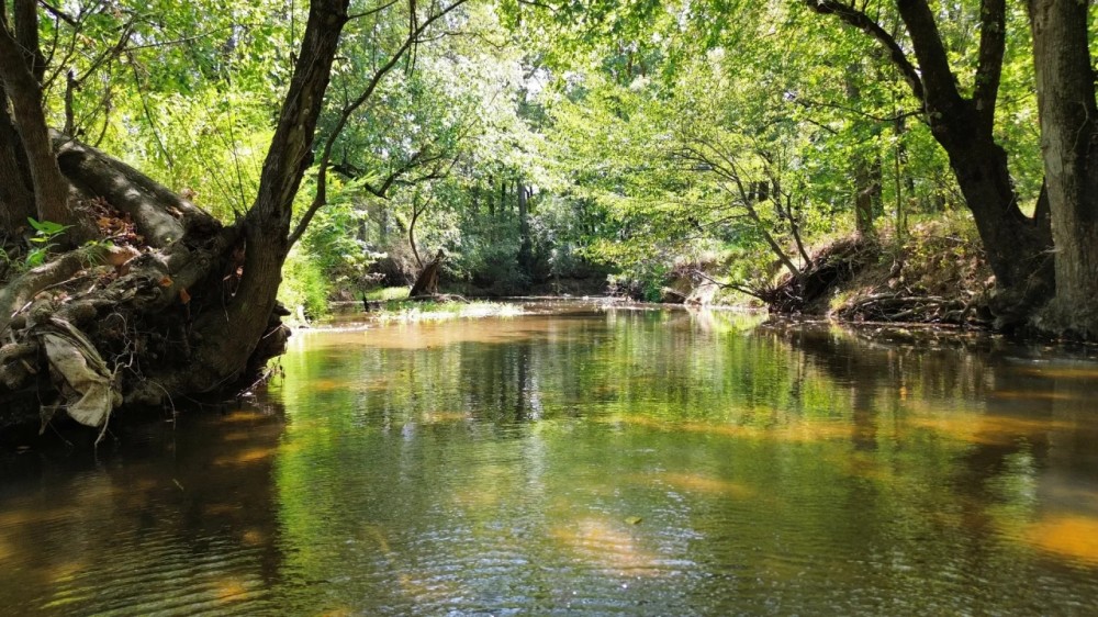 31 Acres with Frontage on the Chattooga River in Walker County GA featured image