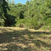 31 Acres with Frontage on the Chattooga River in Walker County GA images 3