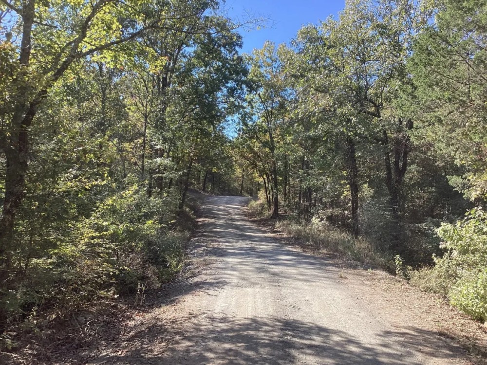 62 Acres in Polk County AR featured image