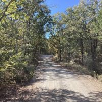 62 Acres in Polk County AR