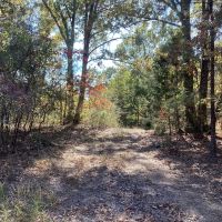62 Acres in Polk County AR images 2