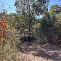 62 Acres in Polk County AR images 3