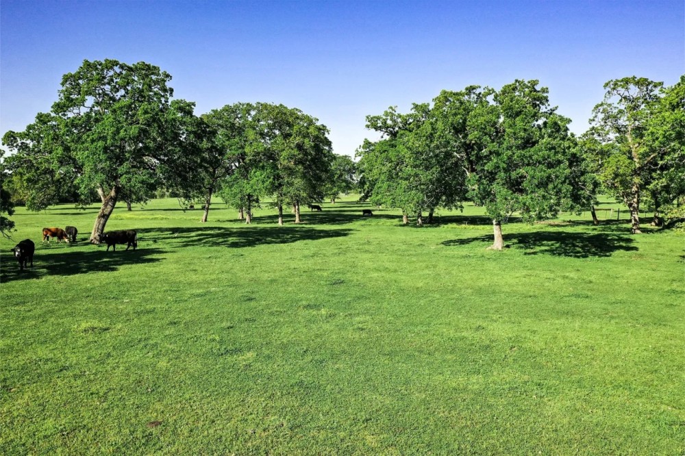 661 B FM 2550 Walker County TX featured image