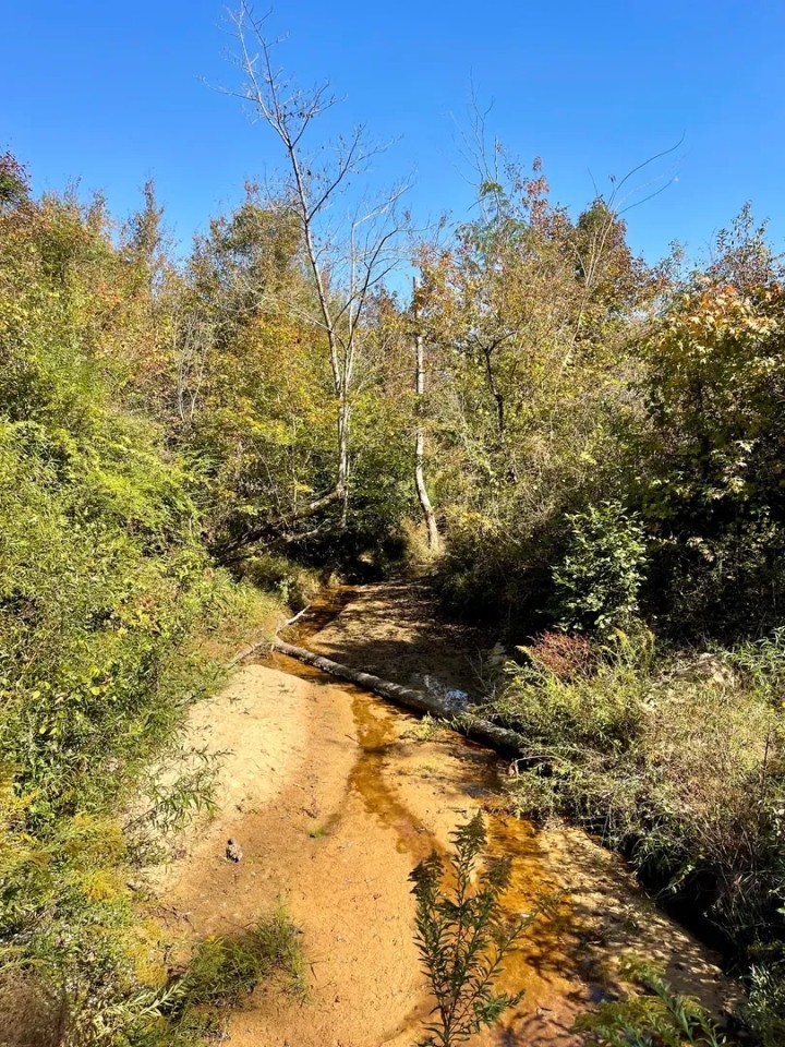 37 Acres in Noxubee County MS featured image