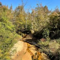 37 Acres in Noxubee County MS