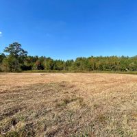 37 Acres in Noxubee County MS images 2