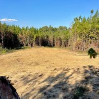37 Acres in Noxubee County MS images 5