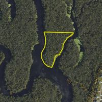 Property Bordering the Cape Fear River Wetlands Game Land images 3