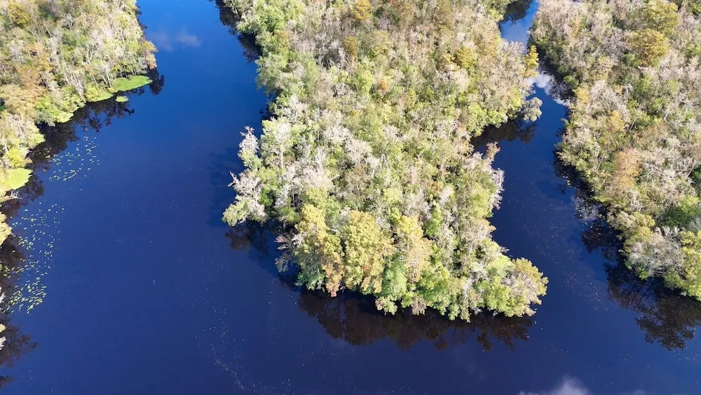 Property Bordering the Cape Fear River Wetlands Game Land Hunting