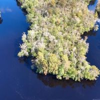 Property Bordering the Cape Fear River Wetlands Game Land images 5