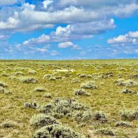 Medicine Bow Ranch images 2