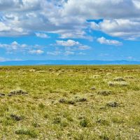 Medicine Bow Ranch images 4