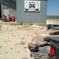Hunting Recreational Ranch in Val Verde County TX images 3