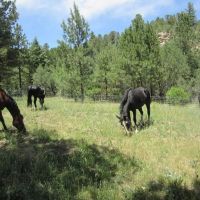 D14 Santa Fe Trail Ranch images 2