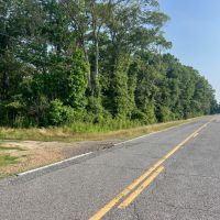LA - Madison 981 acres - 50 share
