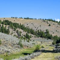 WILLOW VIEW RANCH images 5