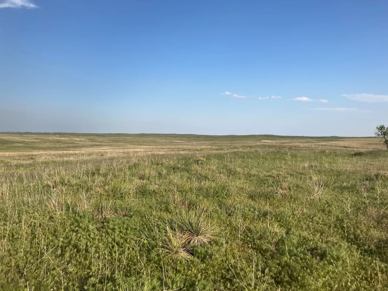 Chase County Rangeland Offered in 2 Parcels Hunting Land for Sale